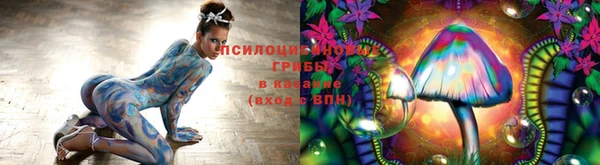 Альфа ПВП Балахна